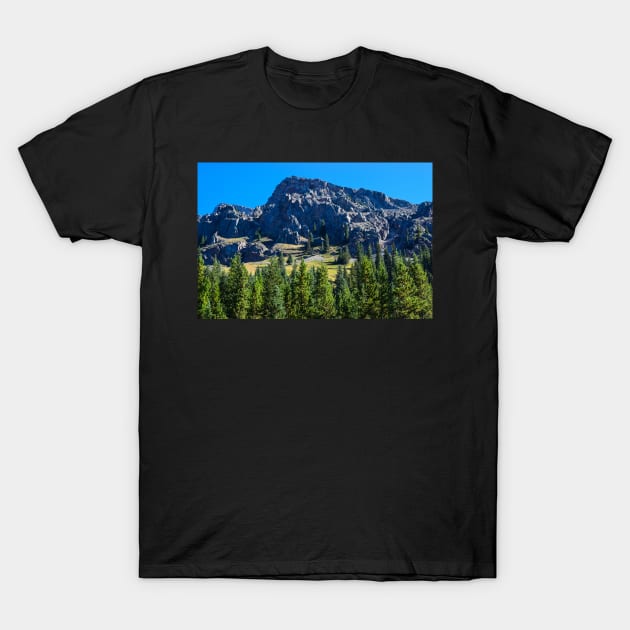 Trail at Elbow Lake. T-Shirt by CanadianWild418